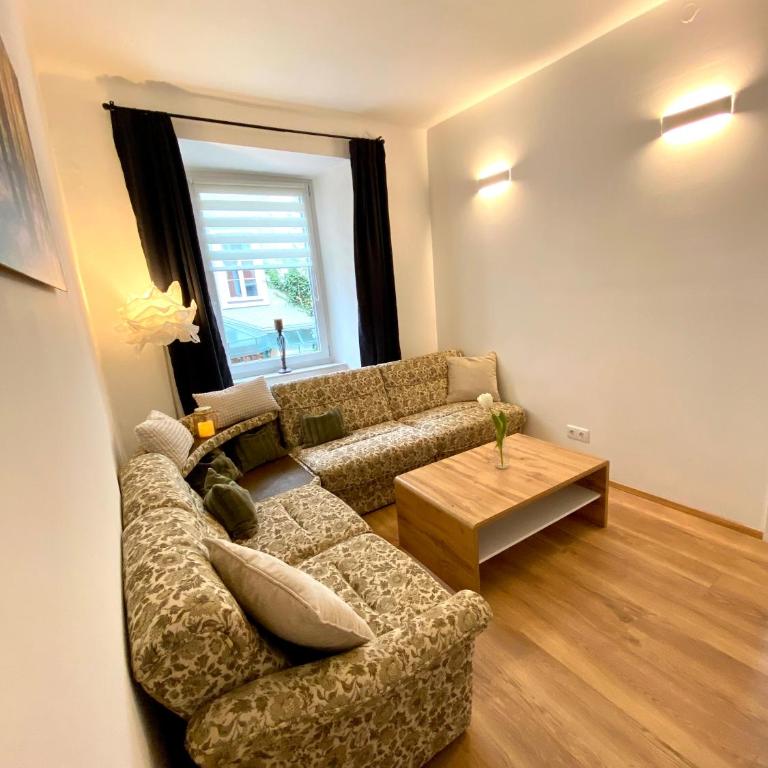 Siriuskogel im Zentrum von Bad Ischl - Apartment mit 1 Schlafzimmer - 24