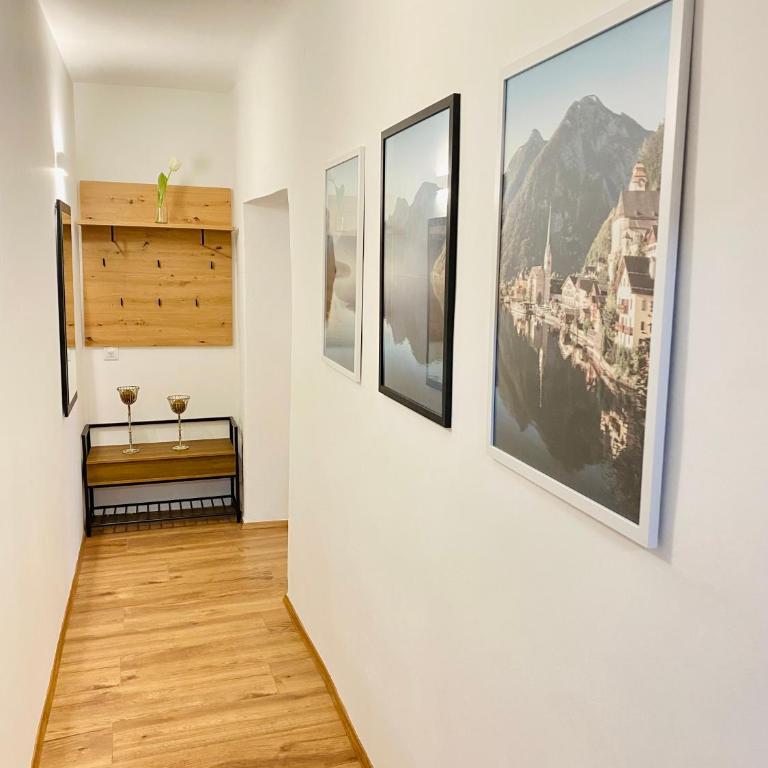 Siriuskogel im Zentrum von Bad Ischl - Apartment mit 1 Schlafzimmer - 29