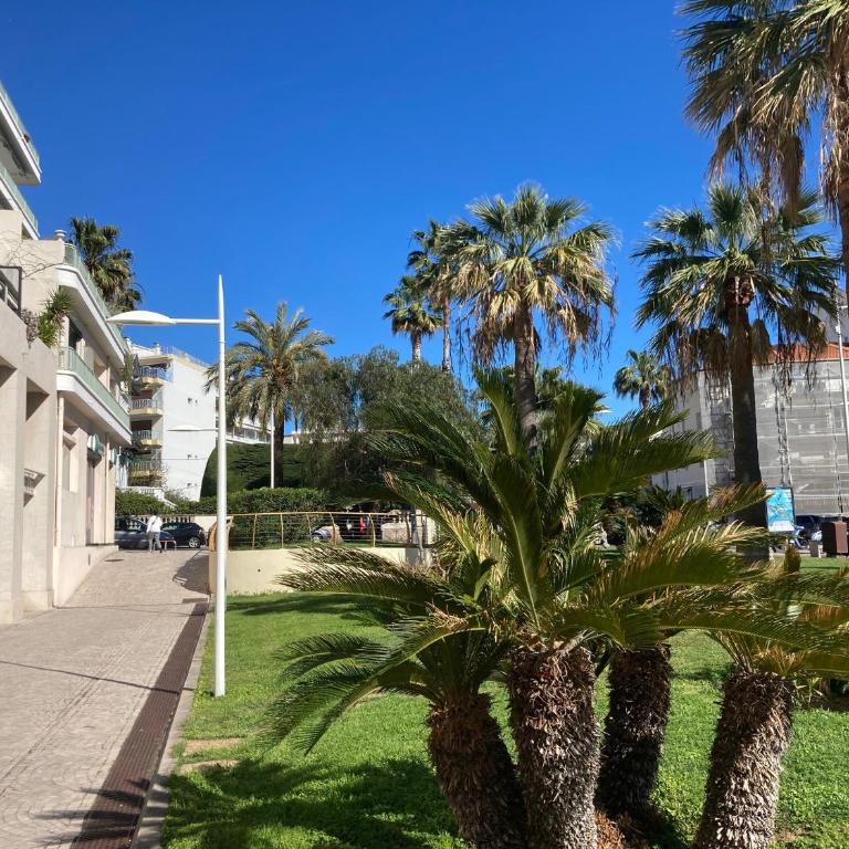 Appartement de standing Le Velvet Bay climatisé en bord de mer - Estudio - 27