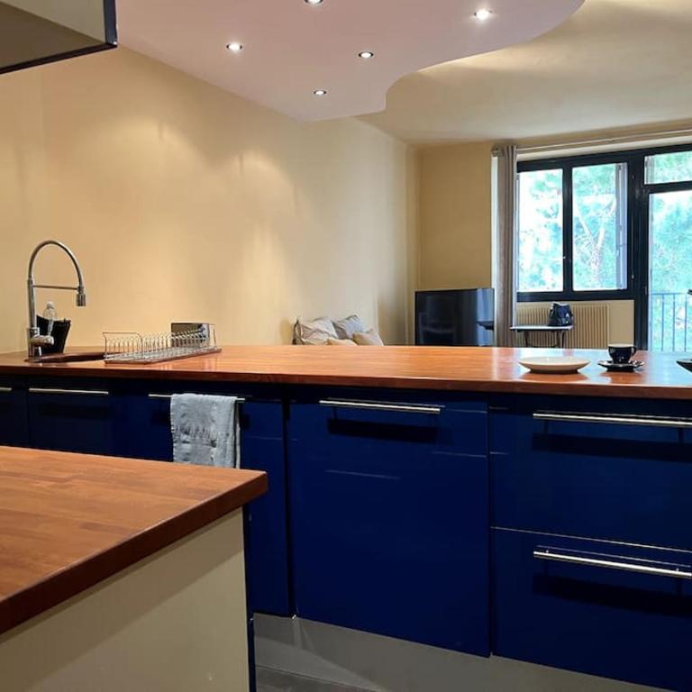 Cannes Montfleury grand confort - Apartment mit 1 Schlafzimmer - 9