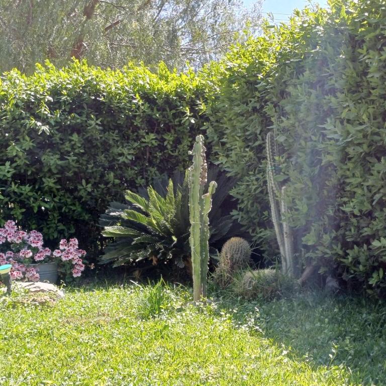 La Virgy per Noto with share swimming pool with wonderful sea view - Casa con 1 Camera da Letto - 39