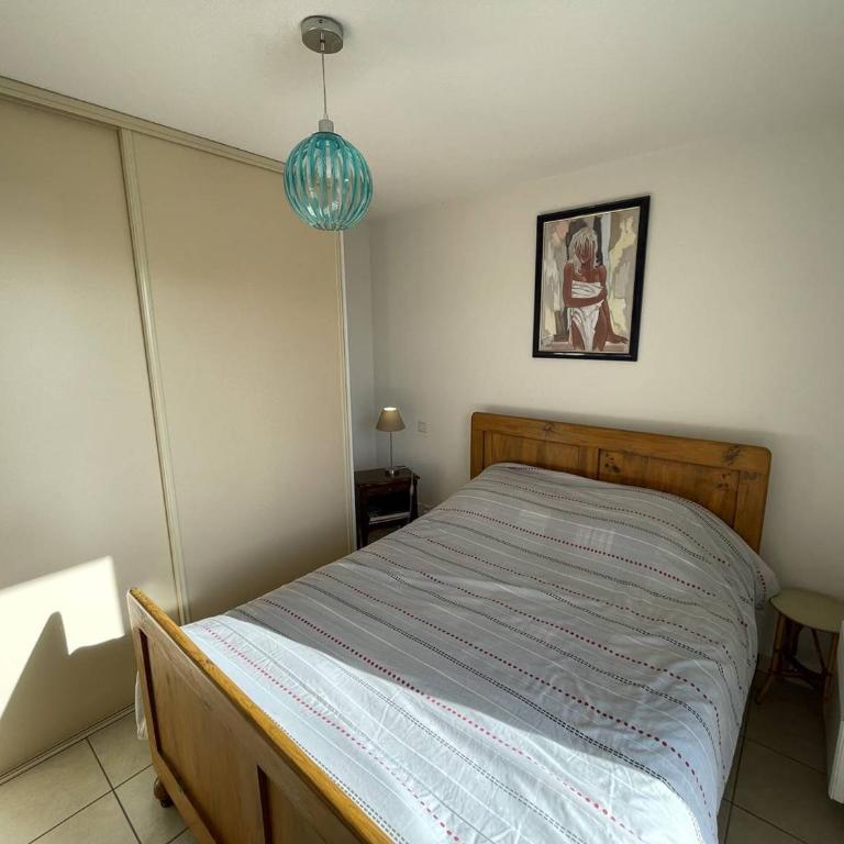Bel T2 avec Garage, Terrasse et Animaux Admis - Saint-Cyprien Plage - FR-1-106-96 - Apartment - 11