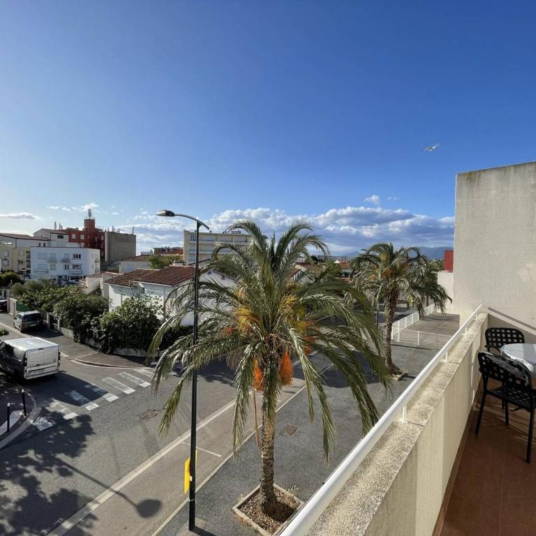 Bel T2 avec Garage, Terrasse et Animaux Admis - Saint-Cyprien Plage - FR-1-106-96 - Apartment - 14
