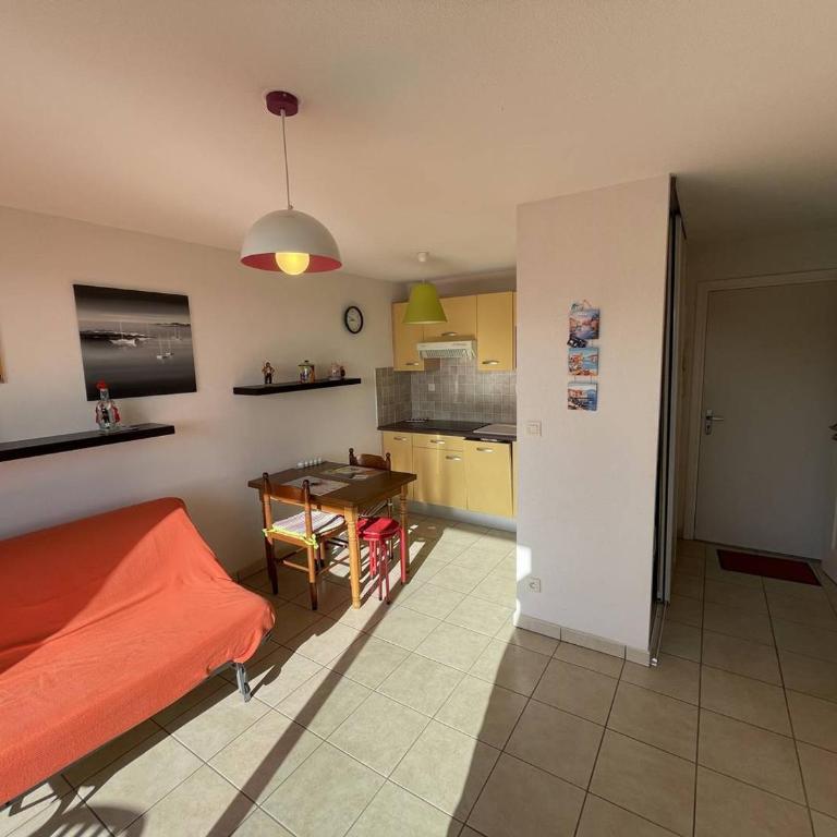 Bel T2 avec Garage, Terrasse et Animaux Admis - Saint-Cyprien Plage - FR-1-106-96 - Apartment - 15