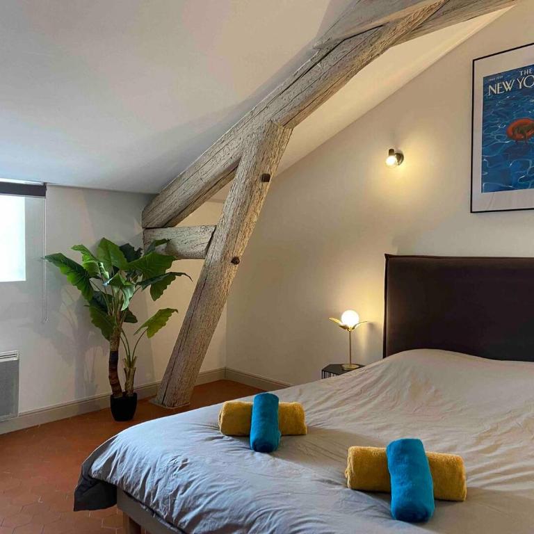 Appartement de charme au cœur d'Avignon - Apartment mit 2 Schlafzimmern - 11