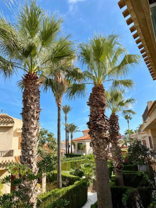 Palms View Lovely 2 Bed apartment - Playa Flamenca - Apartamento de 2 dormitorios - 21