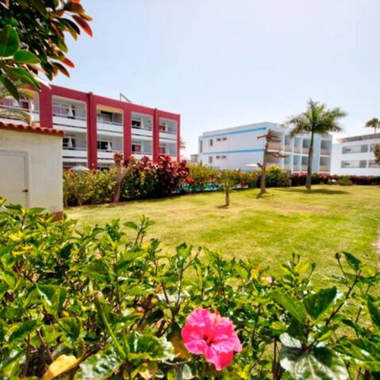 APARTAMENTO BONITO 103 by CASAS COCODRILO - One-Bedroom Apartment - 11
