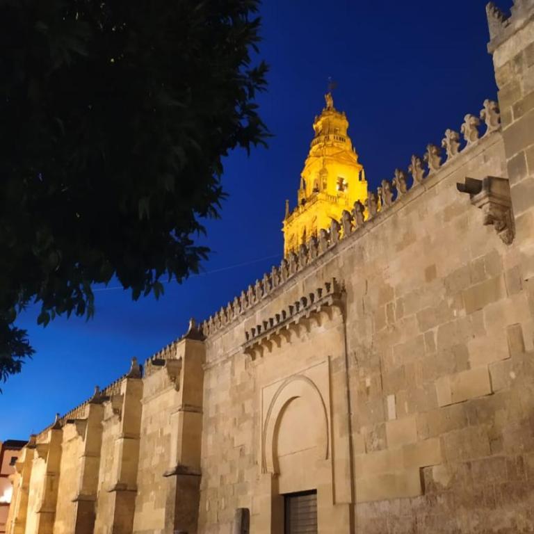 Zibá Córdoba Only Families - Apartamento de 3 dormitorios - 37