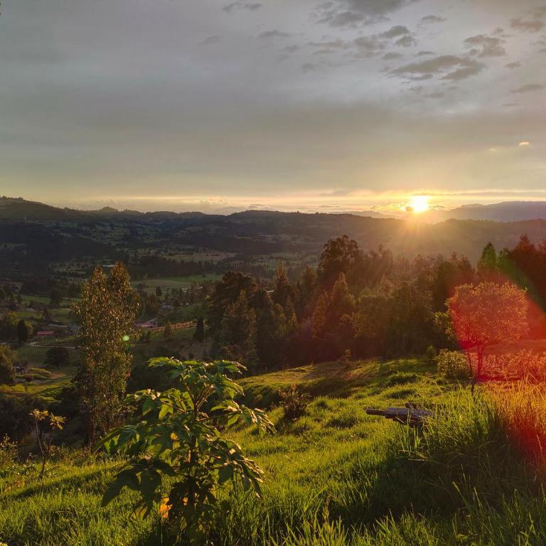 Posada Campestre Macadamia - Three-Bedroom Chalet - 7