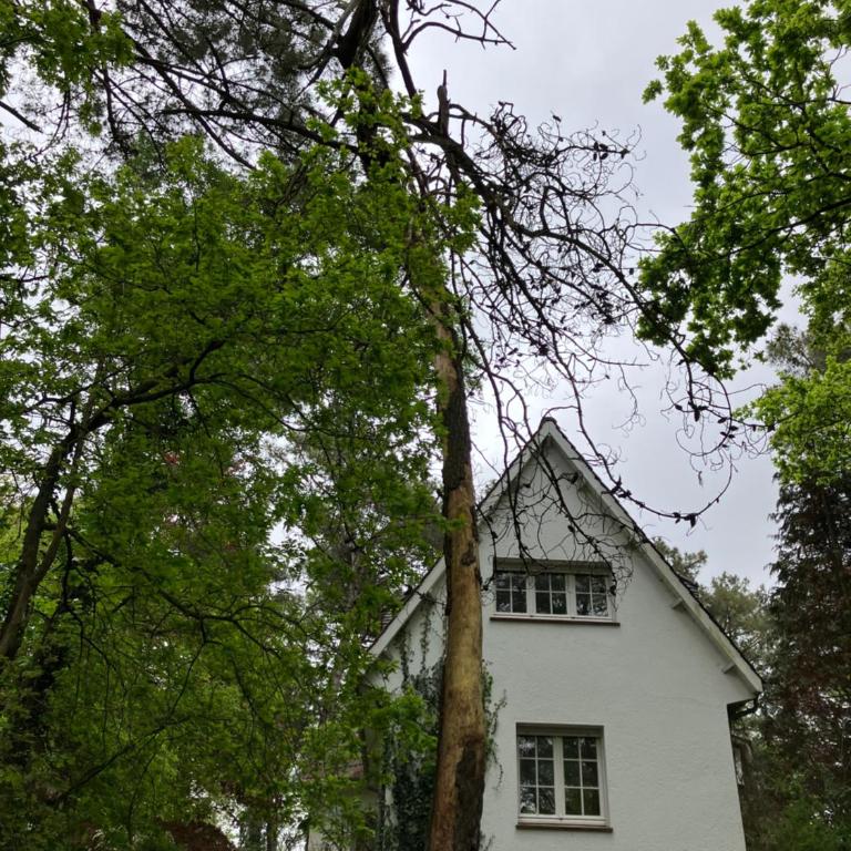 VILLA LE TOUQUET EN FORET - Maison 4 Chambres - 10
