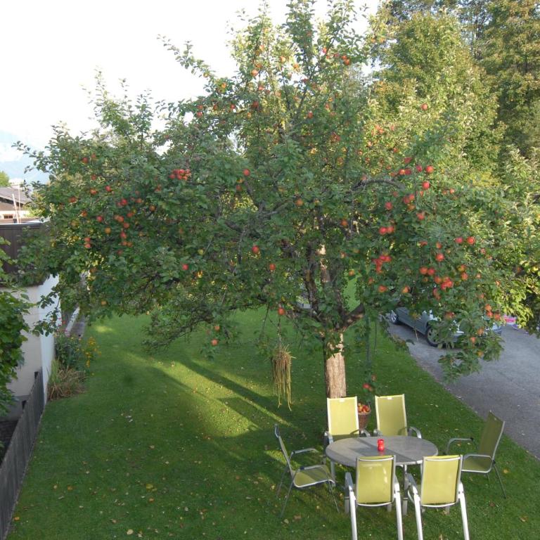 Ferienwohnung Stöckl - Apartment mit 1 Schlafzimmer - 31