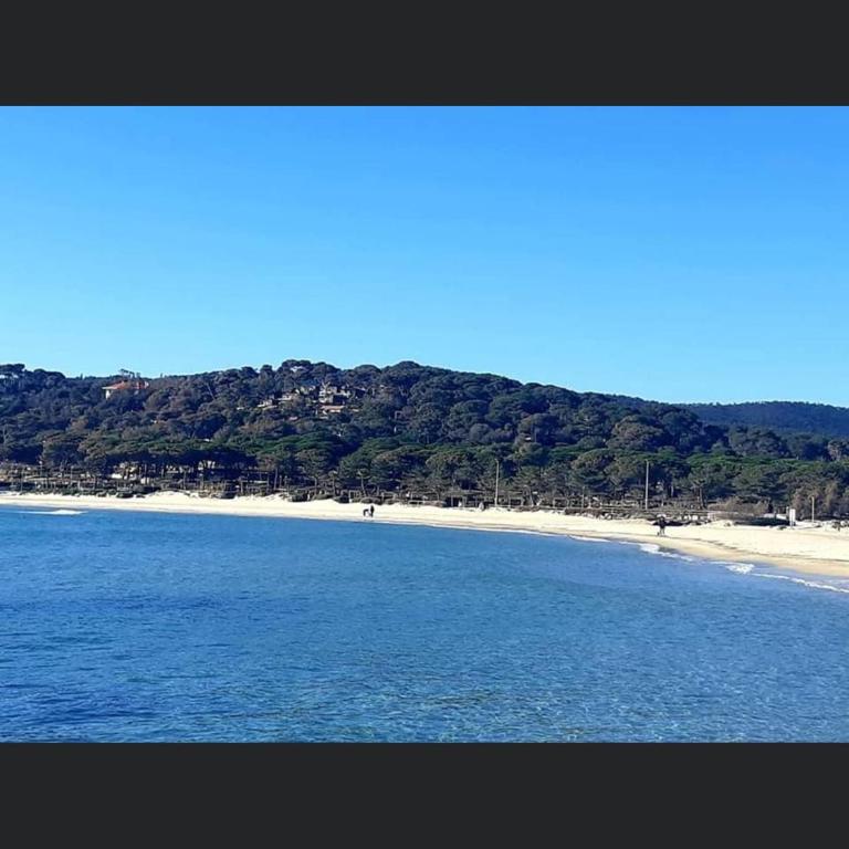 Appartement pieds dans l’eau Vue Mer Bormes Les Mimosas - One-Bedroom Apartment - 25