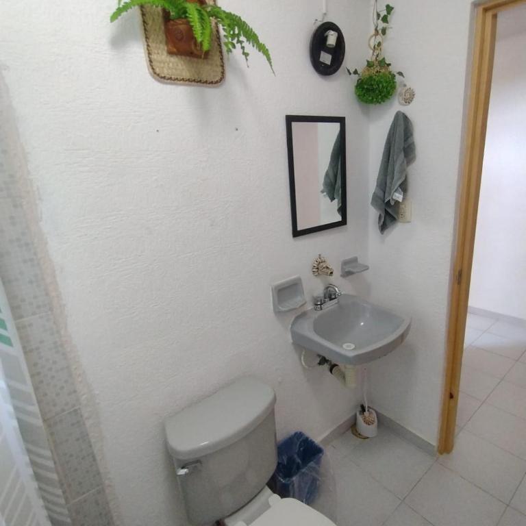 México Arte - Habitación Doble con baño privado externo - 7