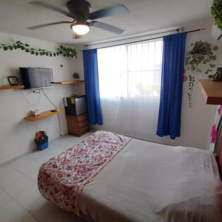México Arte - Habitación Doble con baño privado externo - 2