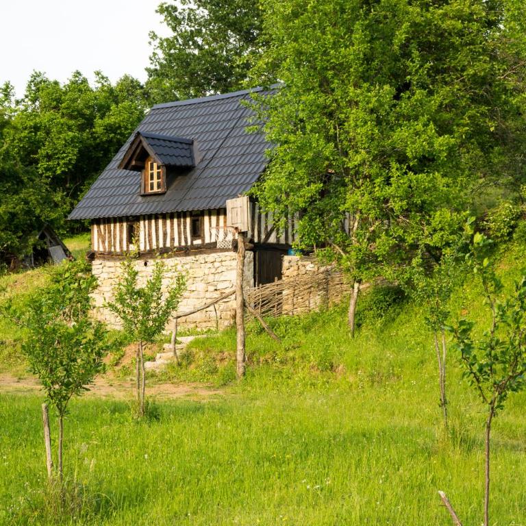 Djurdjevina Family Farm - Vikendica - 3