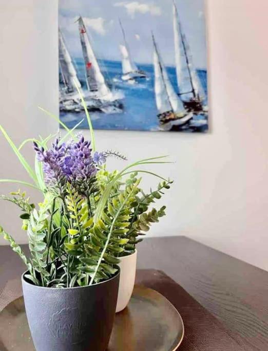 Un été sans fin à Deauville - Appartement 1 Chambre - 15