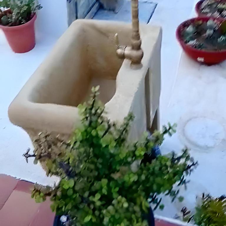 Dammuso Pantelleria - Fiori D'Ossidiana - Apartment mit 1 Schlafzimmer - 87