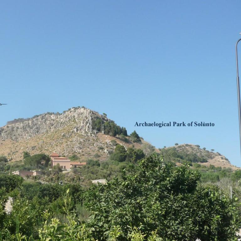 Villa Paladino Solunto - Vacation Home - 30