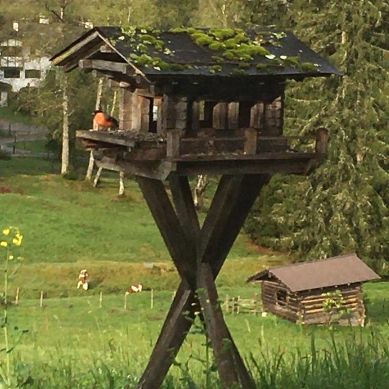 Hof Hintererb - Apartment mit 1 Schlafzimmer - 2