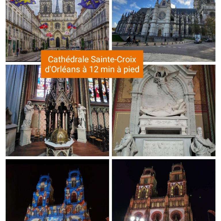 Orleans hypercentre articles fitness et Bebe - Appartement 1 Chambre - 21