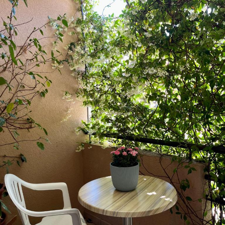 Apartmani Goran i Jelena Zec - Dvokrevetna Soba sa Bračnim Krevetom - 7