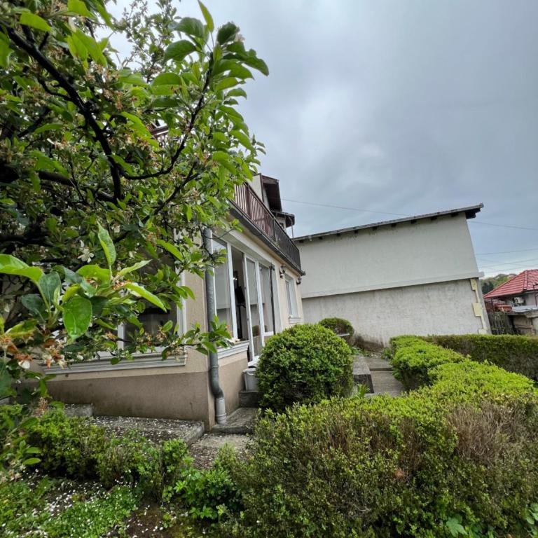 Holiday House Bistrik - Apartman sa Pogledom na Vrt - 36