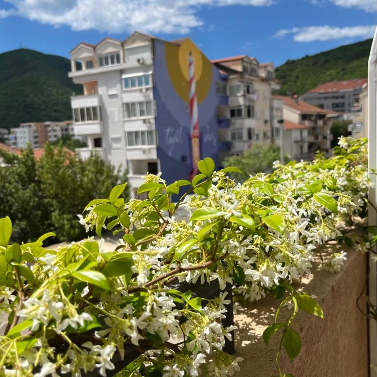 Apartmani Goran i Jelena Zec - Dvokrevetna Soba sa Bračnim Krevetom - 6