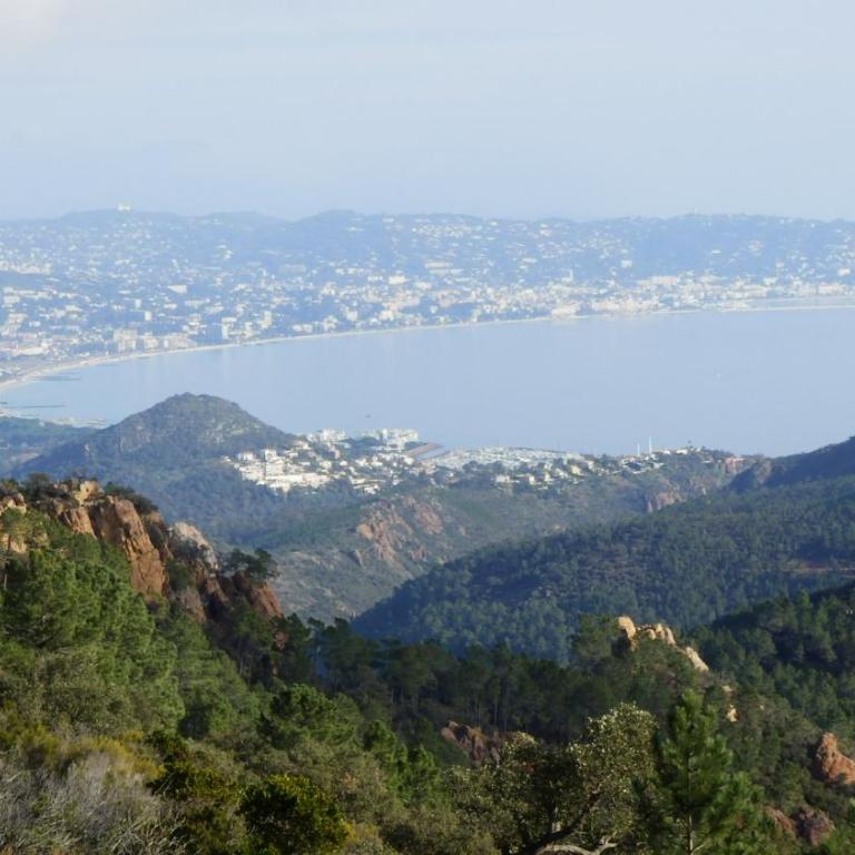 Esterel Terrasses, roof top front de mer, parking payant - Appartement 1 Chambre avec Terrasse - 16