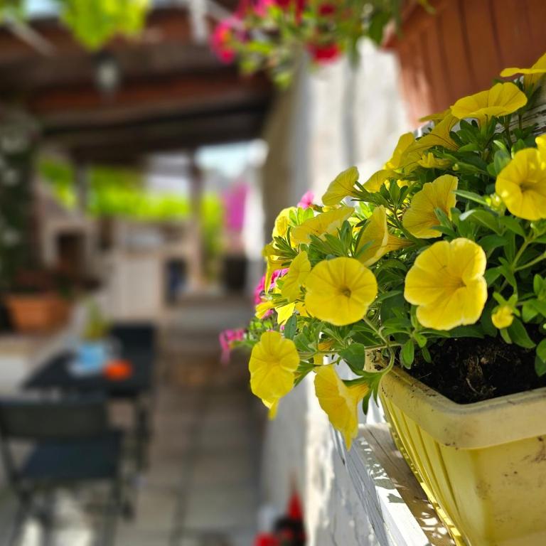 Il trullo felice - Casa con 2 Camere da Letto - 25
