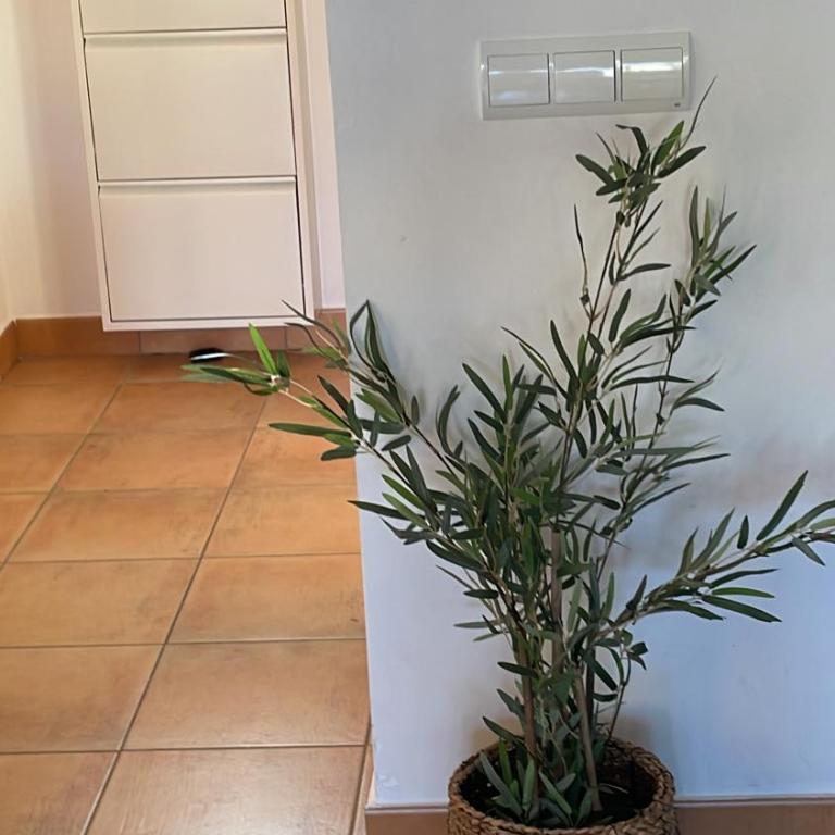 Schöne Unterkunft mit Pool und Terrasse. - Apartamento de 2 dormitorios - 24