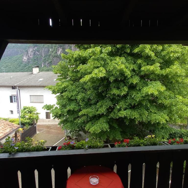 Garni Meinrad - Doppelzimmer mit Balkon - 16