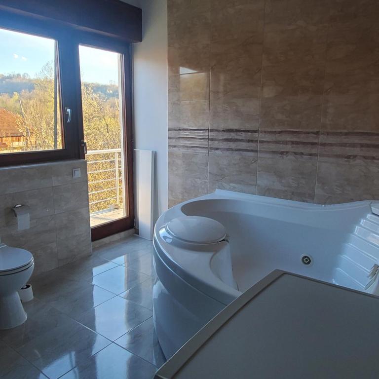 Seosko turisticko domacinstvo MIRIS DUNJE DORUCAK PO DOGOVORU - Apartman - 12