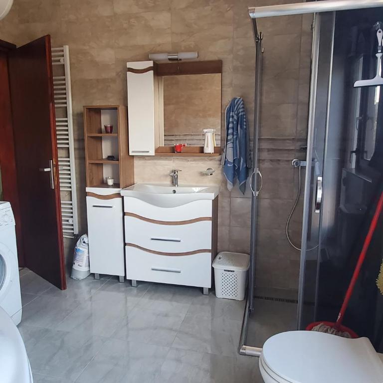 Seosko turisticko domacinstvo MIRIS DUNJE DORUCAK PO DOGOVORU - Apartman - 20