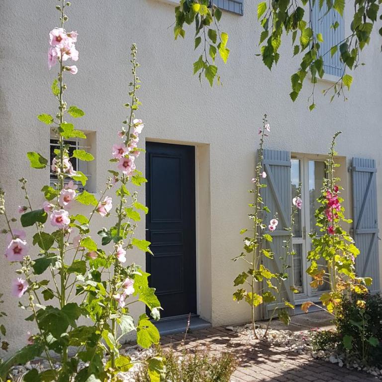 Maison entre vieux port et Minimes - Maison 3 Chambres - 1