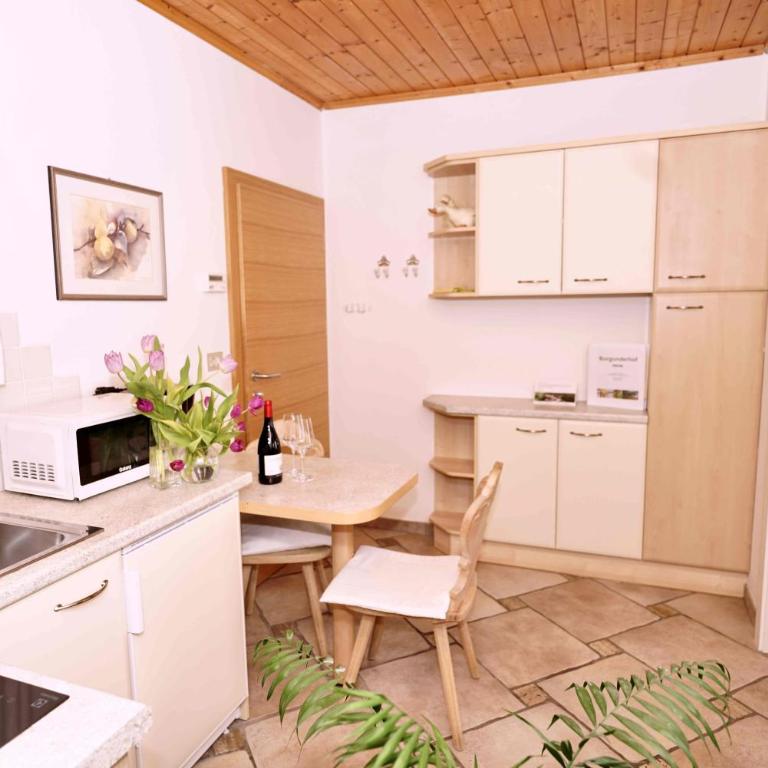 Burgunderhof - Appartamento con Balcone - 4