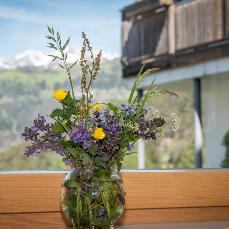 Panorama Residence Schlossblick - Apartments Erdgeschoss - Appartamento con 1 Camera da Letto - 10