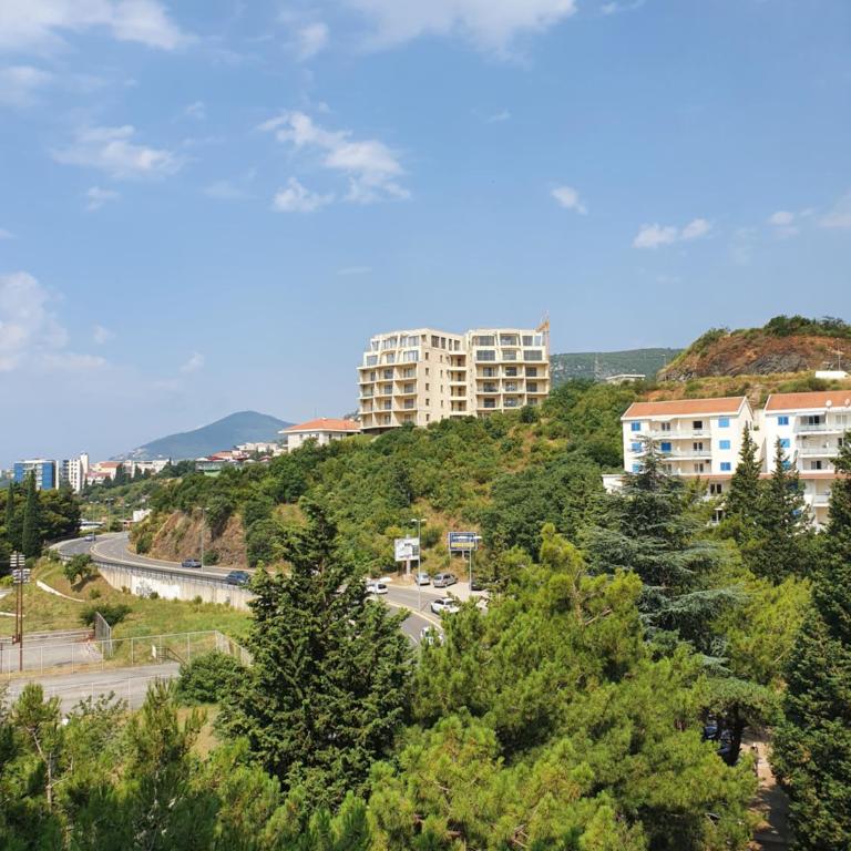 Blue Sky Apartment Becici - Apartman sa 1 Spavaćom Sobom - 7