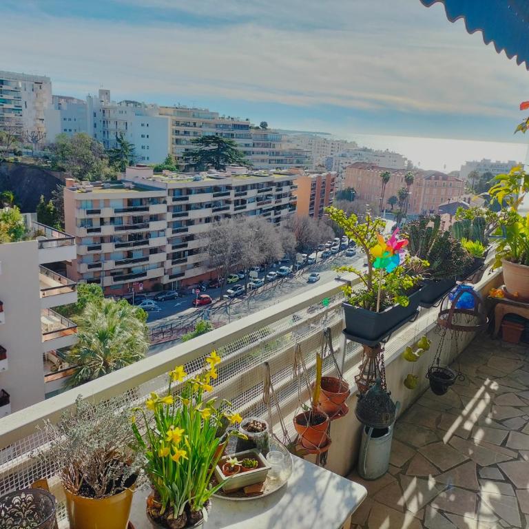 Le Vallombrosa - Deux pièces lumineux et confortable - Appartement 1 Chambre - 1