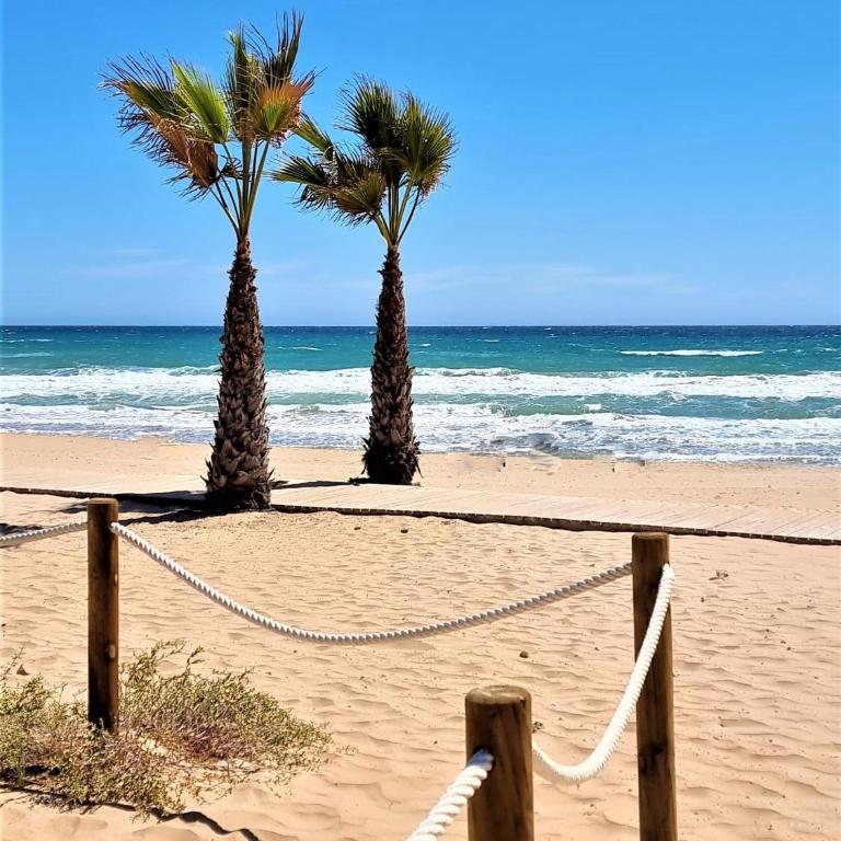 Cabo Cervera primera linea apartamento de lujo - Apartamento de 2 dormitorios - 27