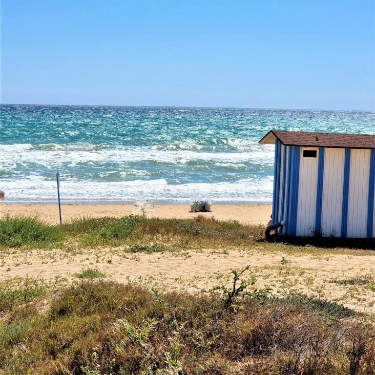 Cabo Cervera primera linea apartamento de lujo - Apartamento de 2 dormitorios - 52