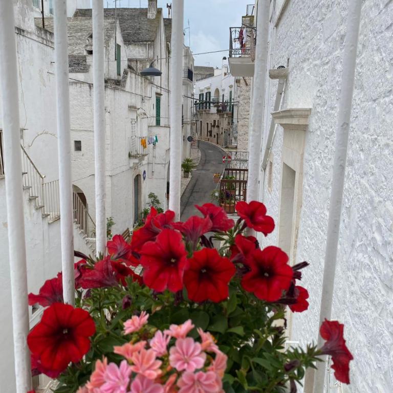 Casa Melina! Historic house in Locorotondo - Two-Bedroom House - 28