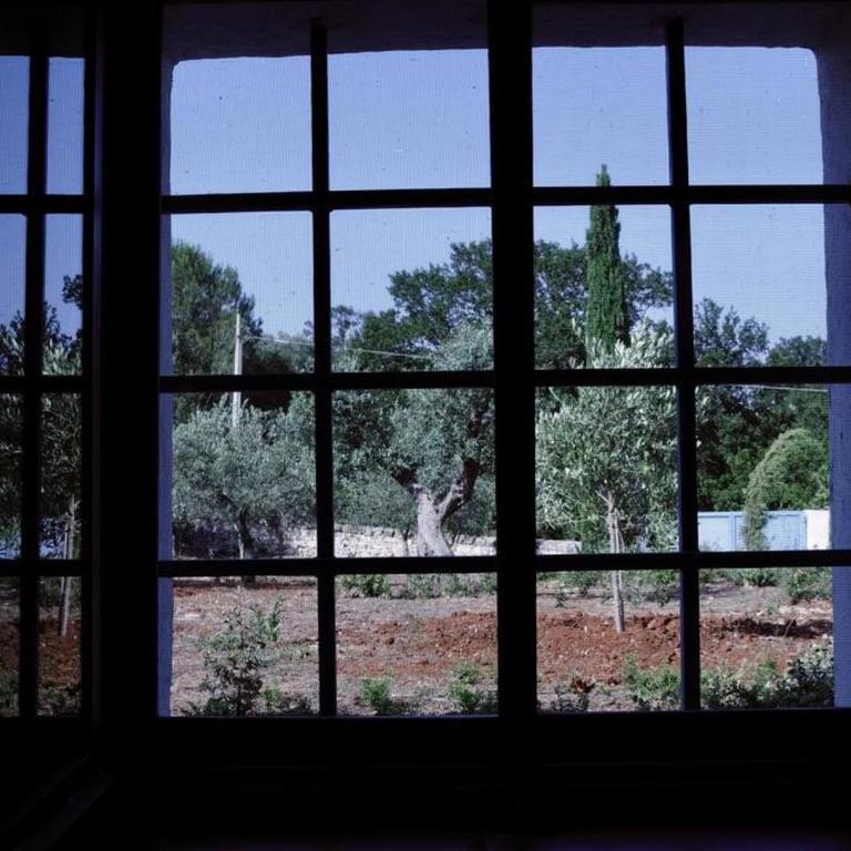 Tenuta Don Mimì. Valle d'Itria, Puglia. - Casa con 4 camere da letto - 21
