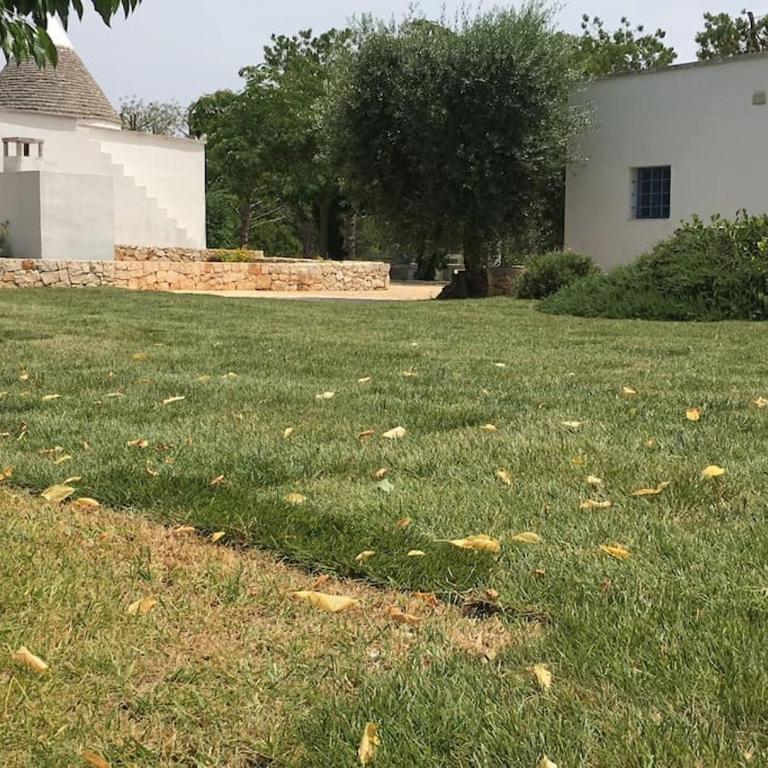 Tenuta Don Mimì. Valle d'Itria, Puglia. - Casa con 4 camere da letto - 46