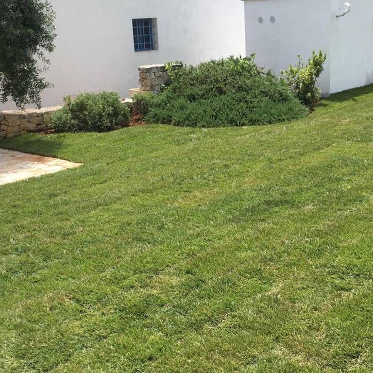 Tenuta Don Mimì. Valle d'Itria, Puglia. - Casa con 4 camere da letto - 48
