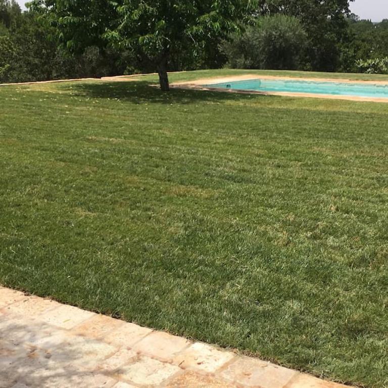 Tenuta Don Mimì. Valle d'Itria, Puglia. - Casa con 4 camere da letto - 53