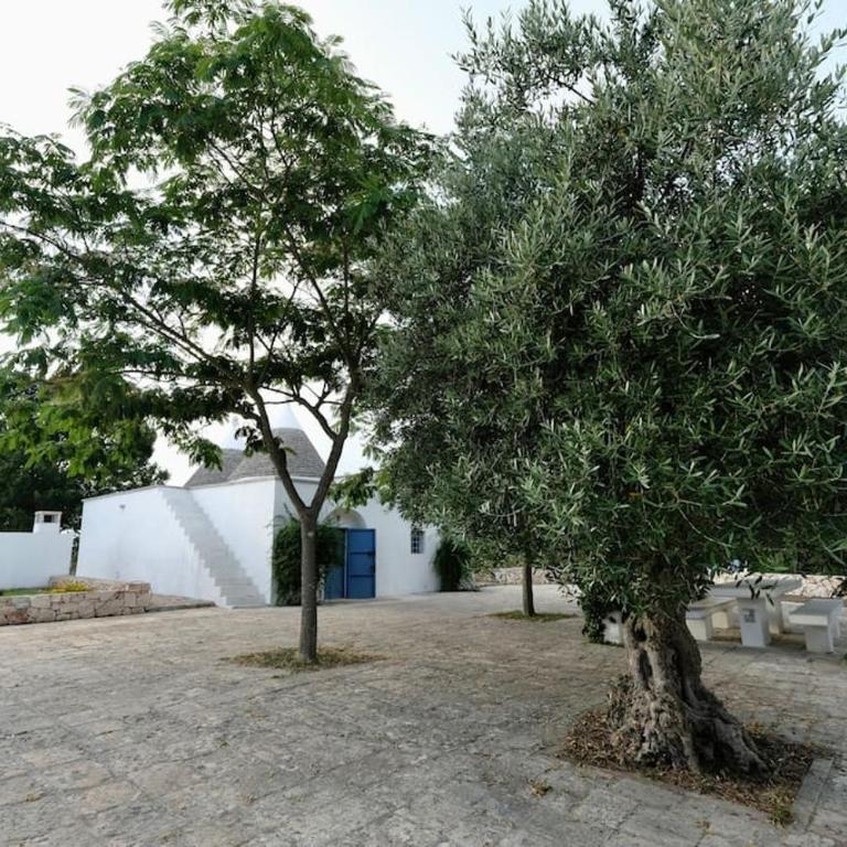 Tenuta Don Mimì. Valle d'Itria, Puglia. - Casa con 4 camere da letto - 71