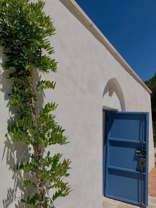 Tenuta Don Mimì. Valle d'Itria, Puglia. - Casa con 4 camere da letto - 88