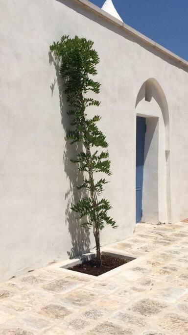 Tenuta Don Mimì. Valle d'Itria, Puglia. - Casa con 4 camere da letto - 89