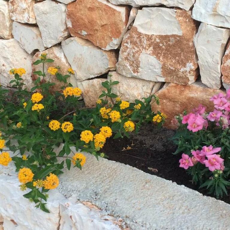 Tenuta Don Mimì. Valle d'Itria, Puglia. - Casa con 4 camere da letto - 90