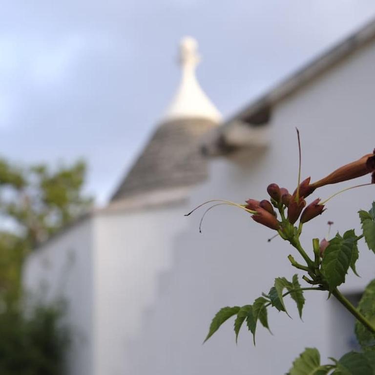 Tenuta Don Mimì. Valle d'Itria, Puglia. - Casa con 4 camere da letto - 92